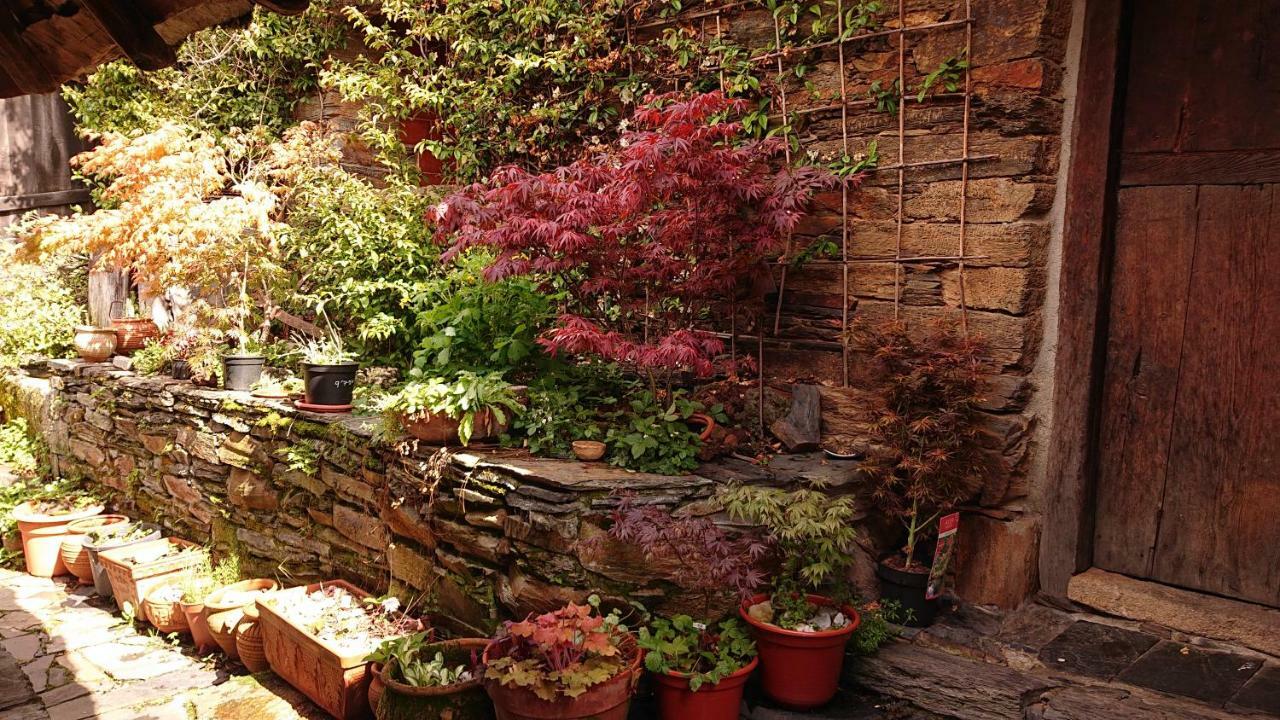 Casa O'Crego Konuk evi San Román Dış mekan fotoğraf